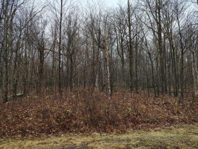 lot 178 Blue Heron Court, Gouldsboro, Pennsylvania 18424, HOA KỲ