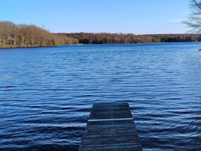 Blue Heron Court, Gouldsboro, Pennsylvanie 18424, États-Unis