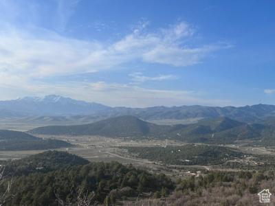 481 Paradise Rdg #481, Indianola, Utah 84629, Stati Uniti