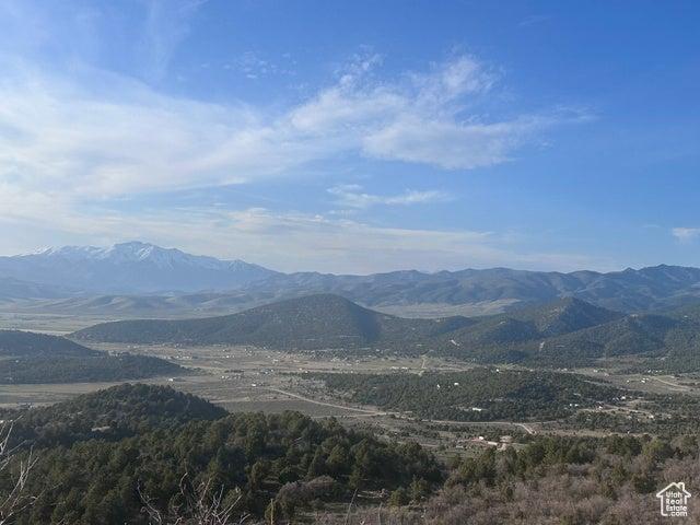 481 Paradise Rdg #481, Indianola, Utah 84629, Stati Uniti