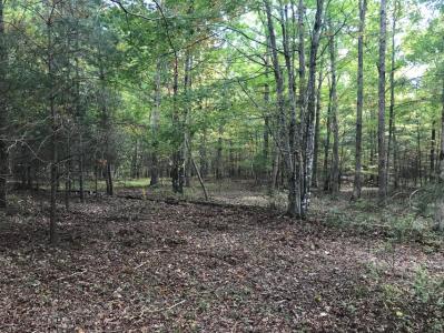 57 Deer Point Drive 57, Dunlap, テネシー 37327, アメリカ合衆国