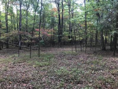 57 Deer Point Drive 57, Dunlap, テネシー 37327, アメリカ合衆国