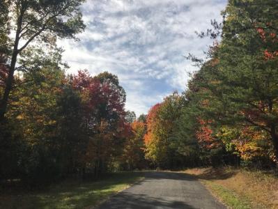 57 Deer Point Drive 57, Dunlap, テネシー 37327, アメリカ合衆国