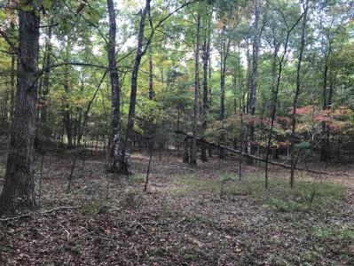 57 Deer Point Drive 57, Dunlap, テネシー 37327, アメリカ合衆国