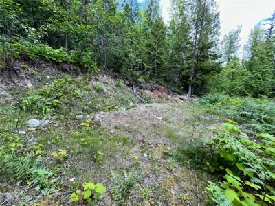 20-9000 SEYMOUR MAIN, Seymour Arm, British Columbia V0E 2V2, Canada