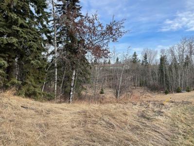 130 & 132 WOLF RUN DRIVE, Rural Ponoka County, 阿爾伯塔 T4J 1R3, 加拿大