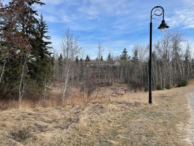 130 & 132 WOLF RUN DRIVE, Rural Ponoka County, 阿爾伯塔 T4J 1R3, 加拿大