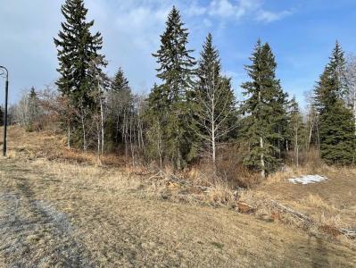 130 & 132 WOLF RUN DRIVE, Rural Ponoka County, 阿爾伯塔 T4J 1R3, 加拿大