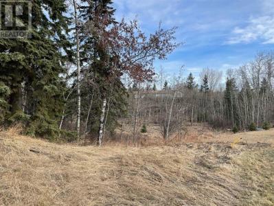 130132 WOLF RUN DRIVE, Rural Ponoka County, 阿爾伯塔 T4J 1R3, 加拿大