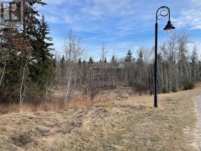 130132 WOLF RUN DRIVE, Rural Ponoka County, 阿爾伯塔 T4J 1R3, 加拿大