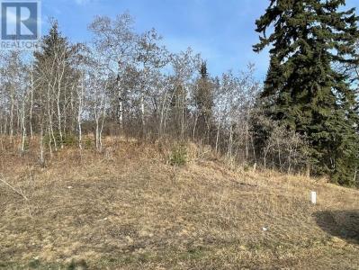130132 WOLF RUN DRIVE, Rural Ponoka County, 阿爾伯塔 T4J 1R3, 加拿大