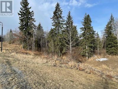 130132 WOLF RUN DRIVE, Rural Ponoka County, 阿爾伯塔 T4J 1R3, 加拿大