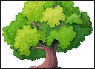 65 RAVENHILL DRIVE, Kleefeld, مانيتوبا R0A 0V0, كندا 