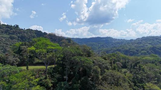 Savegre Quepos, Puntarenas 00001, Costa Rica