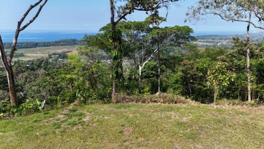 Savegre Quepos, Puntarenas 00001, Costa Rica