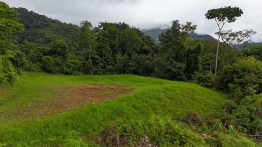 Barú Pérez Zeledón, San José 00001, Costa Rica