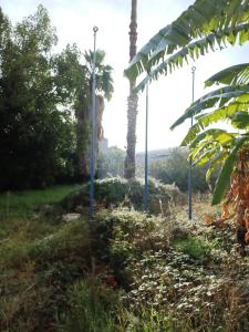 Amadora, Lisboa 2700, Bồ Đào Nha