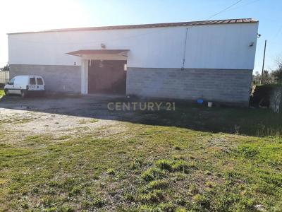 Santa Comba Dão, Viseu 3440-207, Portugal