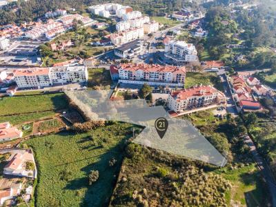 Mafra, Lisboa 2665-538, Portugal