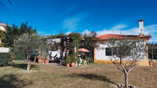 Bombarral, Leiria 2540, Portugal