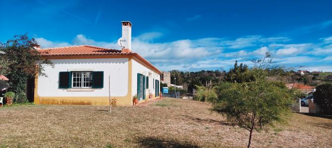 Bombarral, Leiria 2540, Portugal