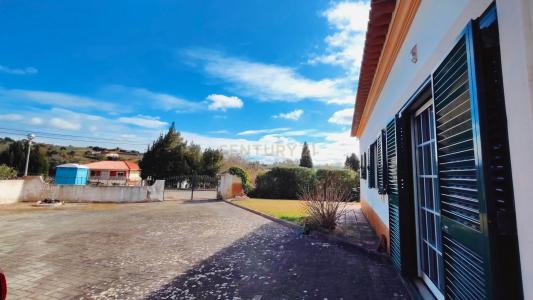Bombarral, Leiria 2540, Portugal