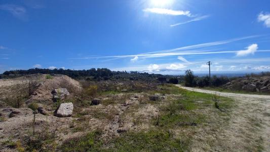 Nelas, Viseu 3520-063, Portugal