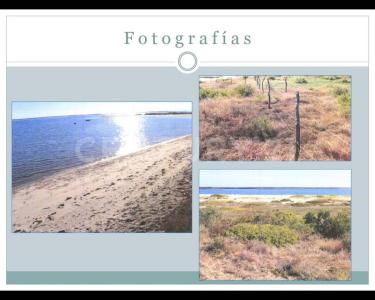 Comondu, Baja California Sur 23740, Mexico