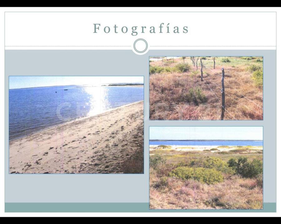 Comondu, La Basse-Californie Du Sud 23740, Mexique