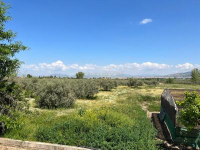 Granada, Andalucía 18140, Spain