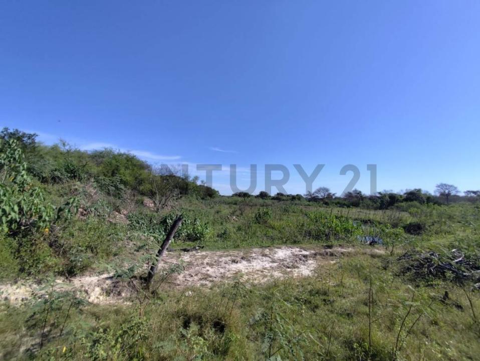 -25.122516,-57.459694 , Limpio, Central 00001, Paraguay
