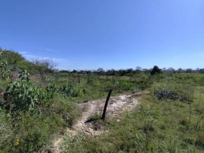 -25.122516,-57.459694 , Limpio, Central 00001, Paraguay
