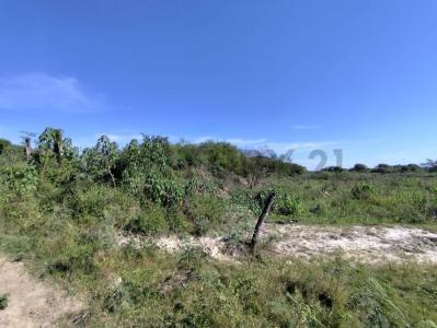 -25.122516,-57.459694 , Limpio, Central 00001, Paraguay