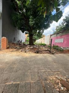 33 Orientales entre José Asunción Flores y Teodoro Móngelos , Bernardino Caballero, Asunción 00001, 巴拉圭