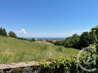 Lantignie, Rhône-Alpes 69430, Francia