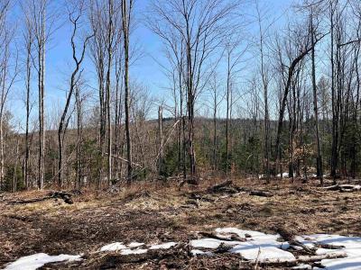 0 Blodgett Road, Lowell, Vermont 05847, Estados Unidos
