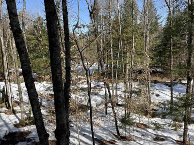 0 Blodgett Road, Lowell, Vermont 05847, Estados Unidos