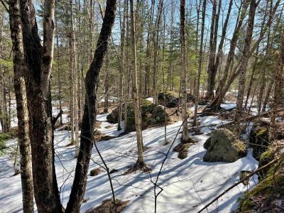 0 Blodgett Road, Lowell, Vermont 05847, Estados Unidos