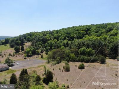 1401 Centre Turnpike, Orwigsburg, Pennsylvania 17961