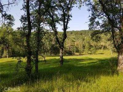 Bethridge Road, Oroville, California 95966