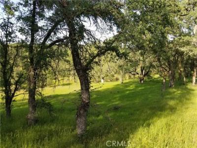 Bethridge Road, Oroville, California 95966