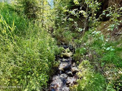 498 Revenue Gulch Rd, Silverton, Idaho 83867, USA