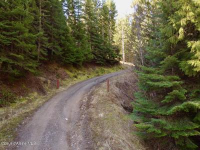 498 Revenue Gulch Rd, Silverton, Idaho 83867, USA