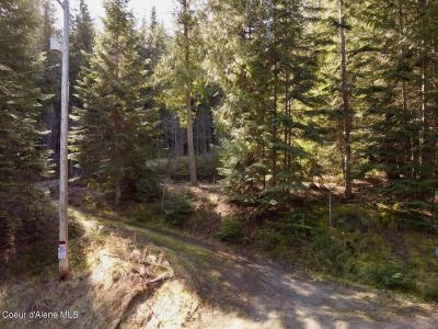 498 Revenue Gulch Rd, Silverton, Idaho 83867, USA