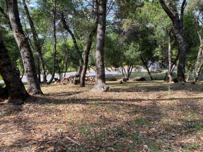 315 Mill Court, Angels Camp, Californie 95222, États-Unis
