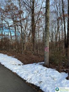 2636 Woodruff Lane, Stroud Twp, Pennsylvanie 18360, États-Unis