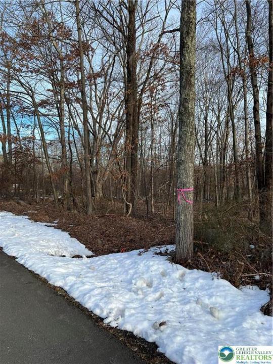 2636 Woodruff Lane, Stroud Twp, Pennsylvanie 18360, États-Unis