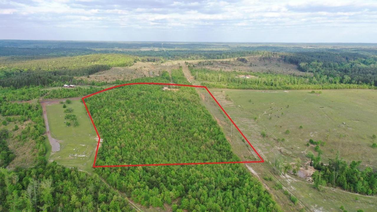 695 County Road 1463, Hughes Springs, Техас 75656, Соединенные Штаты