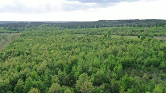 695 County Road 1463, Hughes Springs, Техас 75656, Соединенные Штаты