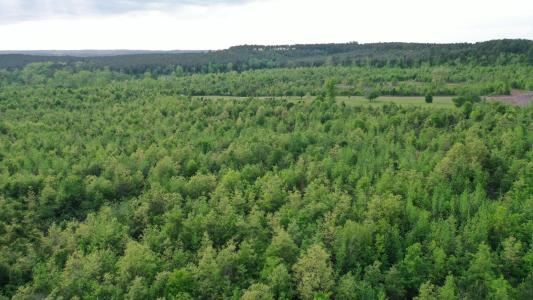 695 County Road 1463, Hughes Springs, Техас 75656, Соединенные Штаты